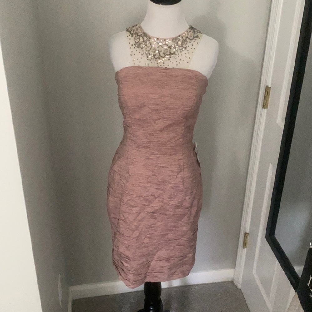 Blush Cocktail Dress with Sheer Beaded Top
